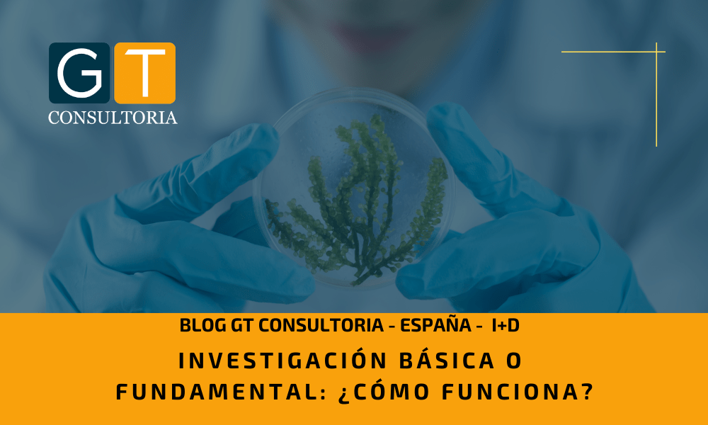 investigación básica o fundamental - GT CONSULTORIA